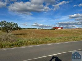 Terreno Urbanizable En venta en Paraje Los Bandos, Don Álvaro photo 0