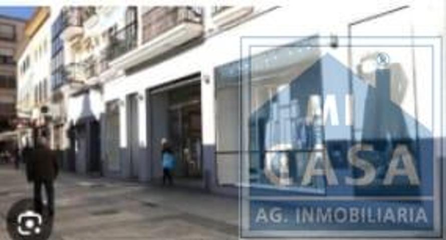 Piso En alquiler en Centro, Mérida photo 0