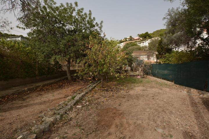 EN VENTA TERRENO URBANO EN GÉNOVA MALLORCA photo 0