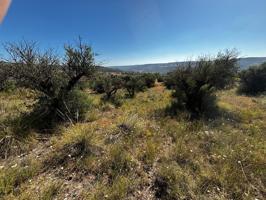 VENTA DE TERRENO EN CARABAÑA - MADRID photo 0