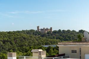 Ático exclusivo con vistas panorámicas, gran terraza y acceso directo al Bosque de Bellver photo 0