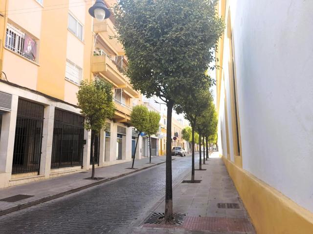 PISO DE 4 DORMITORIOS EN ZONA CENTRO photo 0