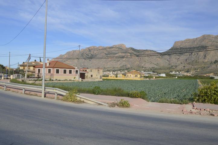 Se vende parcela agraria de 6.841m2 en Orihuela, zona de Camino de Enmedio. photo 0