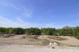Se vende Terreno rural de 2.600m2 en la zona Vereda Los Cacheros en Santomera, Murcia. photo 0