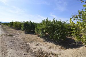 Terreno rústico agrario de 5.427m2 en la zona Vereda Los Cacheros en Santomera, Murcia. photo 0