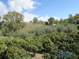 Maravillosa parcela en Benajarafe. photo 0