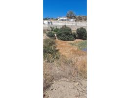 Parcela rustica en venta en Rincón photo 0