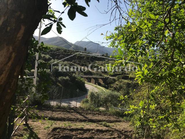 Venta de finca rústica de 5.000 m² photo 0
