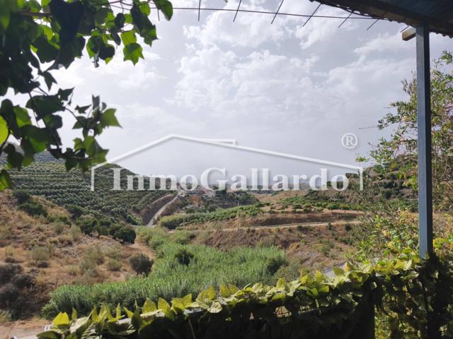 VENTA DE RESIDENCIA CANINA photo 0