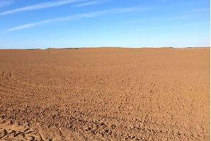 GRAN FINCA DE 314 HAS DE SECANO LABOR MUY BUENA TIERRA EN BADAJOZ photo 0