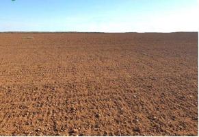 GRAN FINCA DE 314 HAS DE SECANO LABOR MUY BUENA TIERRA EN BADAJOZ photo 0
