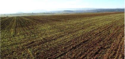 GRAN FINCA DE 314 HAS DE SECANO LABOR MUY BUENA TIERRA EN BADAJOZ photo 0