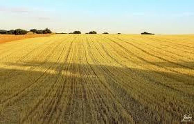 Propiedad agrícola en Teruel capital photo 0