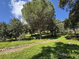 Finca Rustica en Casares - Oportunidad Única photo 0
