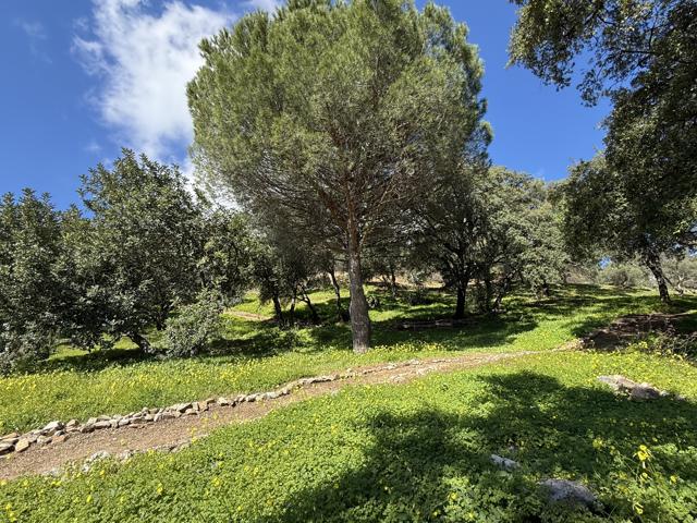 Finca Rustica en Casares - Oportunidad Única photo 0