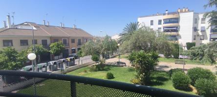 Amplio piso con terraza, cochera y trastero en Miralbaida (en urbanización ajardinada) photo 0