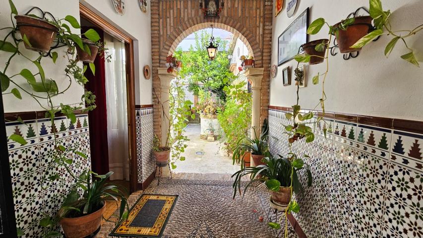 El alma de un patio cordobés photo 0