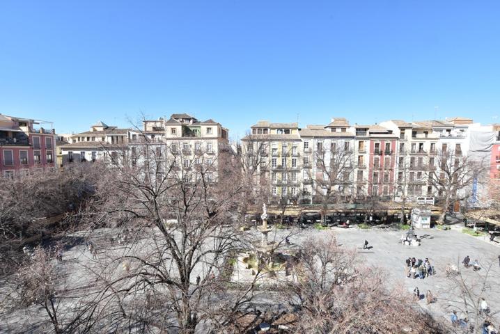 PLAZA BIB-RAMBLA photo 0