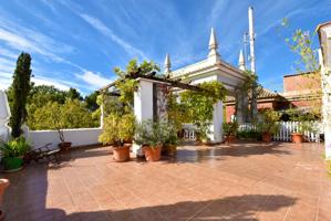 PASEO DE LA BOMBA photo 0