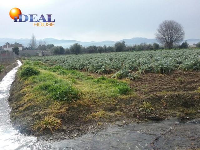 OportUnidad Finca Rústica Pago del Zaidín!!! photo 0