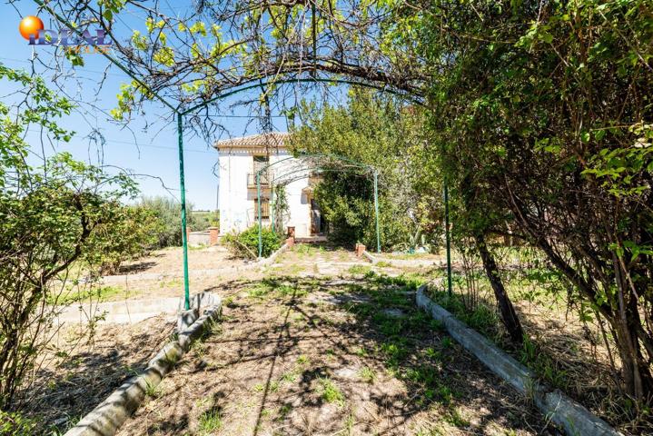 Casa En venta en Cogollos De La Vega, Cogollos De La Vega photo 0