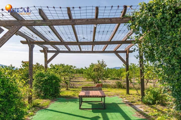 Finca rústica en venta con casa, nave y piscina photo 0