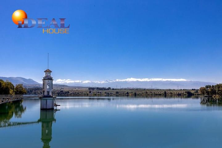 EXCLUSIVO TERRENO EN VENTA EN ALBOLOTE photo 0