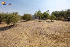 Encanto rústico con casita y olivos en Moraleja de Zafayona 🌿 photo 0