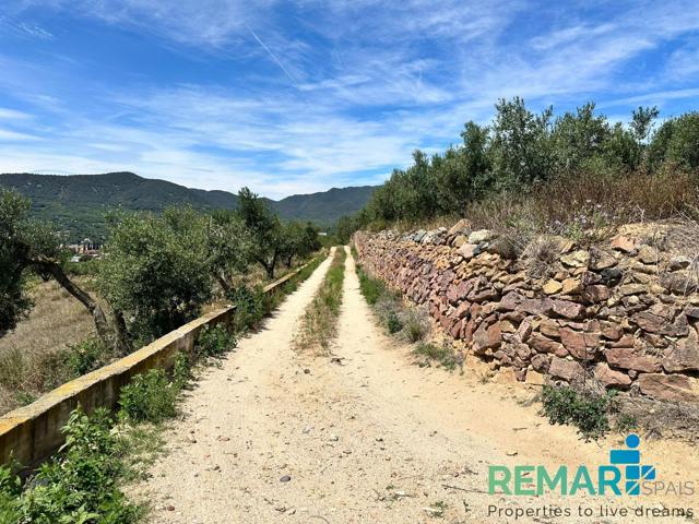 TERRENO RUSTICO EN VENTA ALFORJA photo 0