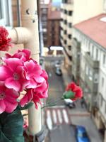 Piso en Tudela - Príncipe de Viana photo 0