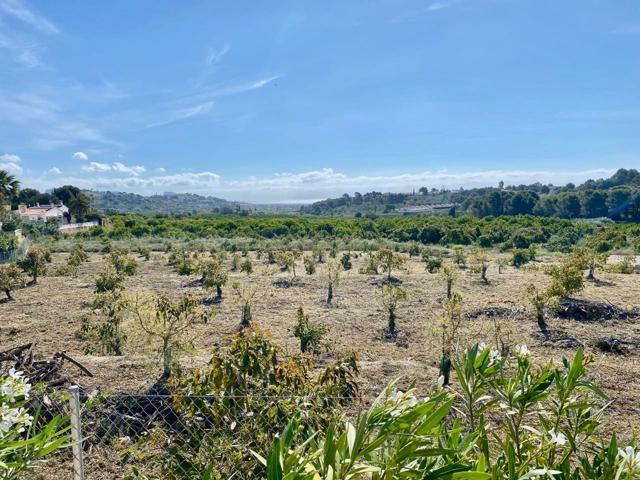 Terrenos Edificables En venta en L'Alfàs del Pi photo 0