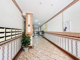 🌊 Apartamento con terraza y garaje cerrado en La Mata, Torrevieja 🌊 photo 0