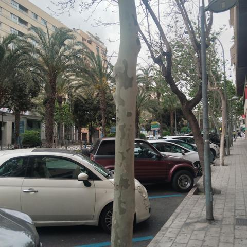 LOCAL COMERCIAL EN OSCAR ESPLA photo 0