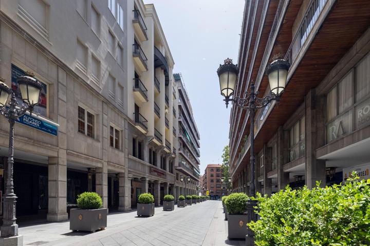 EN VENTA PISO EN GRANADA CENTRO CON TERRAZA EN GANIVET photo 0