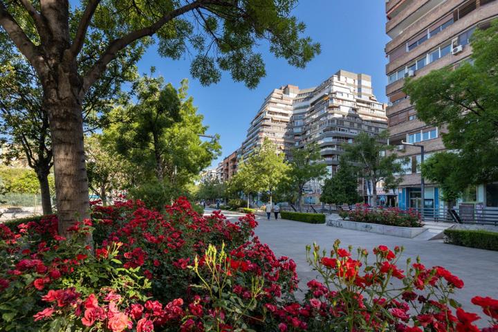 Avd Constitución, Edificio La Pirámide, Vivienda 2 dormitorios totalmente reformada photo 0