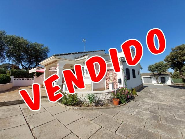 ESPECTACULAR CHALET EN PANCORBO (MAELLO) 05294 photo 0