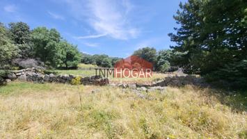 PARCELA EN NAVALMORAL photo 0