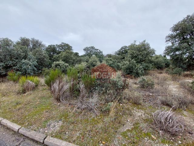 PARCELA URBANA EN DEHESA DE PANCORBO, MAELLO 05291 photo 0