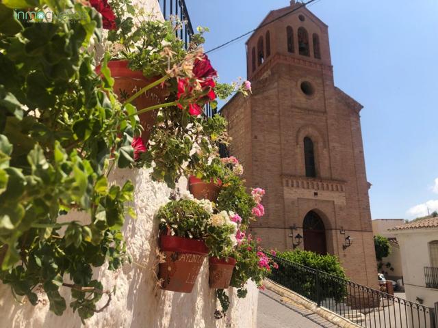 CASA DE PUEBLO photo 0