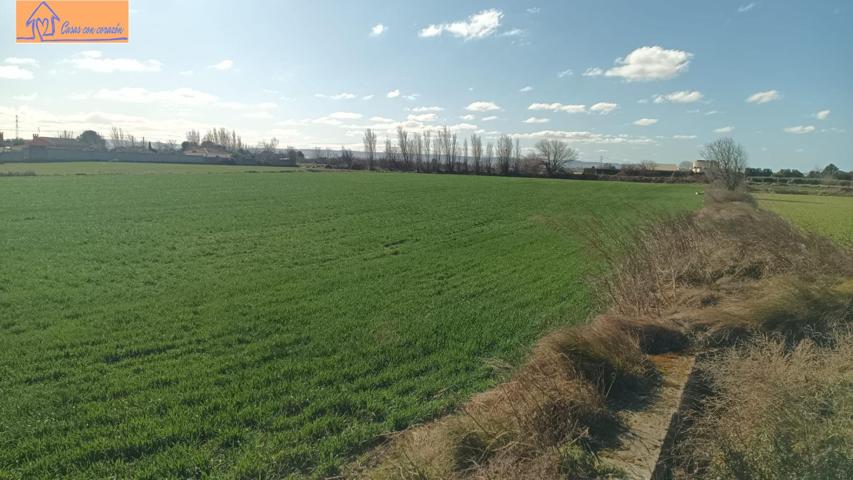 TERRENO PINSEQUE photo 0