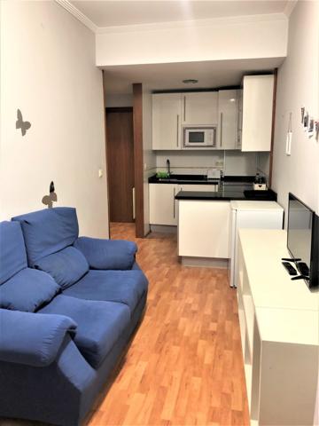 ALQUILER APARTAMENTO CENTRO photo 0