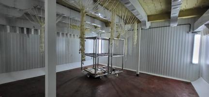 VENTA NAVE INDUSTRIAL photo 0