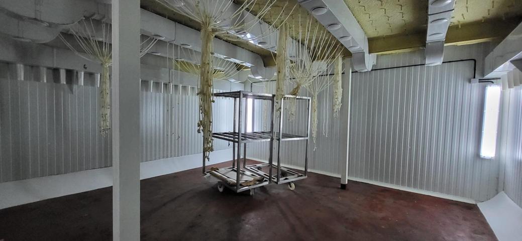 VENTA NAVE INDUSTRIAL photo 0