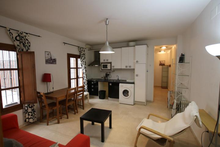 San Antón-Alhamar (zona). Piso amueblado. 1 dormitorio, salón-cocina y baño. Interior. photo 0