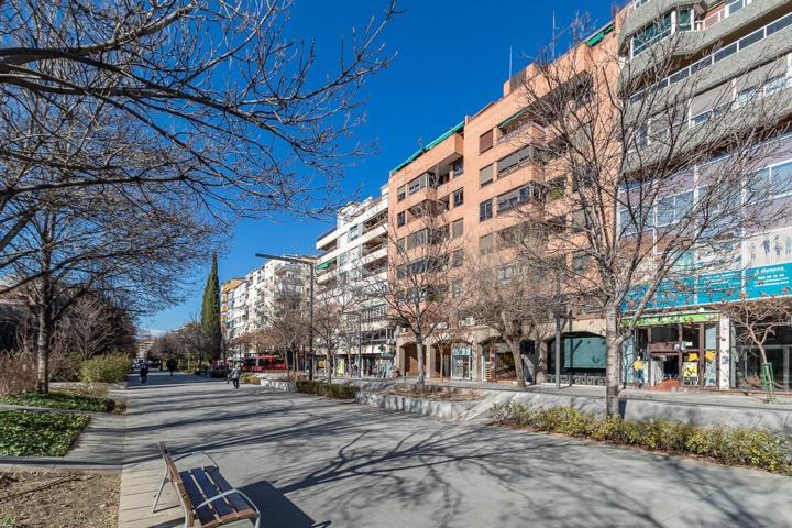 AVENIDA CONSTITUCIÓN. COCHERA. photo 0