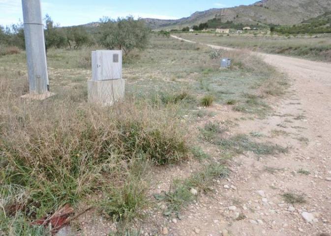 TERRENO RUSTICO photo 0