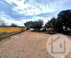 Bonita finca rústica con vivienda próxima a Los Montesinos photo 0