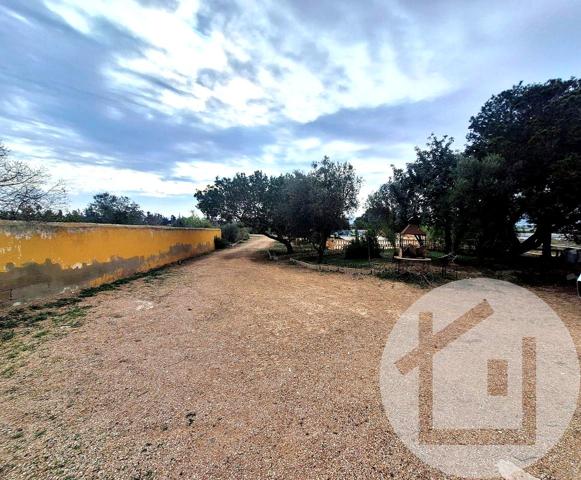 Bonita finca rústica con vivienda próxima a Los Montesinos photo 0