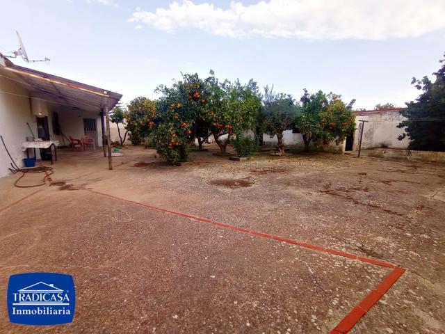 PEDANÍAS DE JEREZ, CASA DE UNA PLANTA EN PARCELA DE 669M², LOCAL DE 89M², ARBOLES FRUTALES photo 0