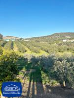 ARCOS DE LA FRONTERA, PARCELA A PIE DE CARRETERA DE 14.220 M² 150 OLIVOS Y NARANJOS, CASA DE CAMPO photo 0